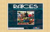 Revista RAICES Año 3: Colección Gestión del …...6 Capítulo I: Contexto Nacional y Local. En el primer semestre del 2016 se concluyeron las reuniones en la Habana que le dan vida