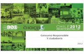 Consumo Responsable Y ciudadanía - gov.uk€¦ · Que durante su producción, los animales no hayan sido maltratados. 75,3 Que el producto sea chileno. 74,8 Que la ... Los sectores