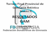 RESULTADOS GAM - FBG · Torneo Final Provincial de Gimnasia Artística Niveles E RESULTADOS GAM Lucila del Mar 2015