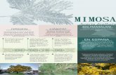 MIMOSA - WordPress.com · MIMOSA Sudeste de Australia y Tasmania. Introducida para su cultivo en jardinería en Europa (Inglaterra) en 1792. No se sabe su fecha de introducción en