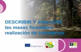 DESCRIBIR Y ANALIZAR las masas forestales, realización de ...eforown.ctfc.cat/pdf/15_Describir y dictaminar la... · 3 Introducción Objectivo: Determinar las principales características