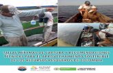 TALLAS MÍNIMAS DE CAPTURA Y RECOMENDACIONES …sepec.aunap.gov.co/Archivos/Cartilla - TALLAS... · encomendarle la tarea de tomar y analizar las estadísticas pesqueras a nivel Nacional