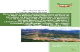 EcuaCorriente S.A. Proyecto Minero Mirador · y Plan de Manejo Ambiental para la Fase de ... Ampliación de 30 kt por día a 60 kt por día del Proyecto Minero Mirador Concesión