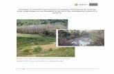 Informe Paisaje Protegido 2016 - Valle de Egüés … · La escasa carga ganadera y la ausencia de gestión llevan a estos espacios, ... prioritarios por la Directiva 92/43/CEE sobre