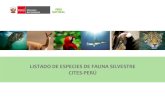 LISTADO DE ESPECIES DE FAUNA SILVESTRE CITES - PERÚ · Internacional de Especies Amenazadas de Fauna y Flora Silvestre (CITES), que se encuentra en vigor desde el año 1975. El Perú