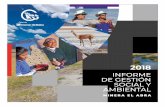 INFORME DE GESTIÓN SOCIAL Y AMBIENTALEl presente Informe de Gestión Social y Ambiental da cuenta de los esfuerzos que durante 2018 hemos realizado en Minera El Abra, destinados a