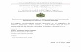 Universidad Nacional Autónoma de Nicaraguarepositorio.unan.edu.ni/7513/1/18068.pdf · La segunda tesis consiste en “Experimentación de estrategias metodológicas para el principio