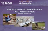 SERVICIOS MEDIO AMBIENTALES AGQ MINING CHILE · SERVICIOS MEDIO AMBIENTALES ... • Cuenta con 308 empleados . Background Los laboratorios y unidades de muestreo del área de minería