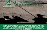Campo Salmantino diciembre 2014 - Agronews Castilla y León · diciembre 2014 Campo Salmantino 3 LA CARTA DEL PRESIDENTE D ice el Ministerio que a mediados de diciembre saldrán publicados