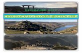 AYUNTAMIENTO DE SAUCELLEsaucelle.es/wp-content/uploads/2018/01/BOLETIN-2017.pdf · • gracias al programa provincial de optimizacion energetica 2016 de la diputaciÓn de salamanca,