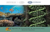 Agenda de Innovación de Quintana Roo · distribuciÓn por Área de conocimiento en quintana roo (derecha) (%, 2014) presupuesto para cti sobre el presupuesto estatal (%, 2010) desempeÑo