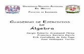 CUADERNO DE E DE Álgebra - Páginas Personales UNAM · CUADERNO DE EJERCICIOS DE ÁLGEBRA 8 finalmente: 12 12 , 22 kk kk kN con lo cual queda demostrado la validez de la expresión