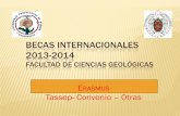 BECAS INTERNACIONALES 2013-2014 - UCMwebs.ucm.es/centros/cont/descargas/documento38238.pdf · 2012-11-27 · BECAS TASSEP (FECHA LÍMITE 27 FEBRERO PARA LA CONFIRMACIÓN) Pueden pedirlo