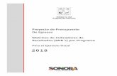 Separadores MIRS - Gobierno Del Estado de Sonora · Informe Anual de Logros y Avances del Programa Sectorial de Mediano Plazo de la Secretaría de Gobierno 2016 ‐ 2021 Autorización
