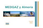 MEDGAZ y Almería · Almería Sagunto GME Arzew Bilbao 2004 Post- 2004 Terminales GNL : Aislamiento energético: Almería es la única provincia española sin acceso directo a gas
