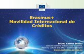 Erasmus+ Movilidad Internacional de Créditos...Viaje 1100-1500 € /participante Acuerdos inter-institucionales entre socios UE-LAC Acuerdo de aprendizaje para estudiantes Acuerdo