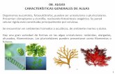 08. ALGAS CARACTERÍSTICAS GENERALES DE ALGASdepa.fquim.unam.mx/.../Tema08/T-08-Algas-202.pdf · 08. ALGAS CARACTERÍSTICAS GENERALES DE ALGAS Organismos eucariotes, fotoautótrofos,