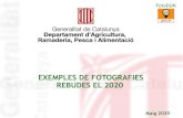 FotoDUN - Exemples de fotografies rebudes el 2020agricultura.gencat.cat/web/.content/09-desenvolupament... · 2020-05-14 · Title: FotoDUN - Exemples de fotografies rebudes el 2020
