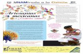 Artesanías mexicanas · 2016-10-18 · LA UNAM presenta el quehacer de los científicos al alcance de nuestros lectores A partir de las 9:30 hrs Octubre 21 y 22 Universum, Museo