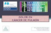 DOLOR EN CÁNCER DE PULMÓNgido.es/wp-content/uploads/2015/05/2.-DOLOR-Y... · Valencia, 12 Marzo 2015. CAUSAS DE DOLOR. Indice • Definicióndolor oncológico • Clasificación