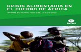 CRISIS ALIMENTARIA EN EL CUERNO DE ÁFRICA · gobiernos y organismos regionales, tales como la Unión Africana, y trabajaremos con comunidades, ... sistemas regionales de alerta temprana