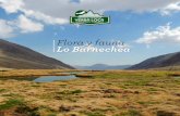 Flora y fauna Lo Barnecheaflorayfaunalobarnechea.cl/wp-content/uploads/2018/... · ción Ambiental "Flora y fauna Lo Barnechea" desarrollado por Anglo American, destaca como un aporte