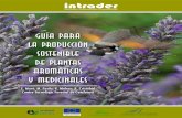 intrader - huerteamos.com...1.1 Medicinales Se consideran plantas medicinales aquellas que contienen unas sustancias, llamadas principios activos, que tienen actividad terapéutica.