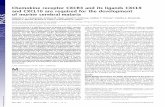 Chemokine receptor CXCR3 and its ligands CXCL9 and CXCL10 ... · Cerebral malaria is a signiﬁcant cause of global mortality, causing an estimated two million deaths per year, mainly