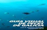 GUÍA VISUAL DE PECES DE GALICIA · 2018-02-23 · GUÍA VISUAL DE PECES DE GALICIA Siempre en la rompiente, incluso con parte del cuerpo fuera del agua; raro encontrarlo a más de