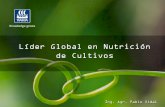 Líder Global en Nutrición de Cultivos - Proarrozproarroz.com.ar/static/presentaciones/yara-tecnologia-en-nutricion-d… · Líder Global en Nutrición de Cultivos Pionera en la
