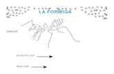 DIBUIXA - Didàctica Escoladidacticaescola.com/wp-content/uploads/2016/02/LA... · 2020-02-08 · la formiga hi ha formigues a tot el mÒn relaciona el nom amb el dibuix formiga viatgera
