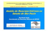 Gestão de Recursos Hídricos no Estado de São Pauloarquivos.ambiente.sp.gov.br/cea/2011/12/RuiBrasil.pdf · 2017-11-24 · ÁGUA NO ESTADO DE SÃO PAULO 1. Constituição Estadual: