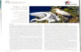 IMEDEA Divulga CSIC-UIB · 2010-03-25 · pensar que todos los casos que conocía de garzas criando en islas tienen en común —oh casualidad!— que se instalan en islotes con gaviotas.
