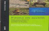 Guía para observar animal en España - Paulino Fandos · 2009-03-16 · dres hasta la próxima paridera. EL COMPORTAMIENTO La Cabra Montés es un animal gre-gario, siendo los rebaños