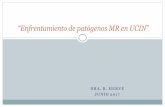 “Enfrentamiento de patógenos MR en UCIN” · 2017-07-21 · Medidas especiales: descolonización Baños con CHXD Hay reportes en que se usó como parte de un Bundle para contener