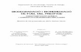 BIODEGRADACIÓ I BIOREMEDIACIÓ DE FUEL DEL PRESTIGEdigital.csic.es/bitstream/10261/26697/3/Jimenez_Nuria_3.pdf · Díez et al. (2005) van estudiar la biodegradabilitat in vitro del