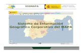 Sistema de Información Geográfica Corporativo del MAPA Andres_SIGMAPA_MAFF_… · de mapas e informes, análisis, etc.) a todo tipo de usuarios. • Reducir costes y esfuerzos.