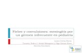 Fiebre y convulsiones: meningitis por un germen poco frecuente en pediatría · 2020-01-21 · Bibliografía Morell C, Cebrián I, González C. Meningitis por Listeria monocytogenes