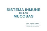 SISTEMA INMUNE - WordPress.com · 2020-01-10 · sistema inmune comÚn de las mucosas modulaciÓn para la inducciÓn de tolerancia y su repercusiÓn en las alergias y enfermedades