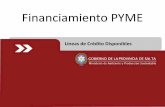 Financiamiento PYME - CPCES · Fondo Provincial de Inversiones Línea Desarrollo Productivo MiPyMES Financia 80% de la inversión en Activo Fijo y Capital de Trabajo sin incluir IVA.