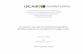ACARIGUA-ARAURE EN DISTINTOS IDIOMAS: Semblanza de …biblioteca2.ucab.edu.ve/anexos/biblioteca/marc/texto/AAS9544.pdf · Tipo de investigación El trabajo de investigación que se