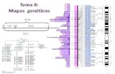 Tema 8: Cartografía genéticagenetica.uab.cat/base/continguts/documents/documents.asp... · 2020-04-24 · Antonio Barbadilla Tema 8: Cartografía genética 6 Cartografía genética