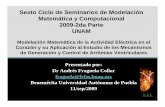 Sexto Ciclo de Seminarios de Modelación Matemática y ...mmc.geofisica.unam.mx/smc-2009/Archivos/AFC.pdf · Sexto Ciclo de Seminarios de Modelación Matemática y Computacional 2009-2da