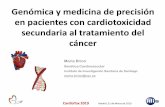 Genómica y medicina de precisión en pacientes con ......CardioTox 2019 Madrid, 21 de Marzo de 2019 La terapia actual contra el cáncer se basa en varias modalidades: Radioterapia