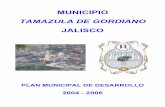 MUNICIPIO - Jaliscoseplan.app.jalisco.gob.mx/files2/PDM2004/Tamazula.pdf · municipio del estado se integran por un Presidente Municipal, un síndico y el número de regidores de