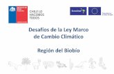 Observatorio Ley de Cambio Climático para Chile ...leycambioclimatico.cl/wp-content/uploads/2019/03/...La RAE lo define como “una cosa o persona de que alguien se sirve para hacer