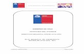 GOBIERNO DE CHILE MINISTERIO DEL INTERIOR DIRECCION …info.seremisaludatacama.cl/documents/Autorizacion... · 2015-06-16 · la planificación, coordinación y ejecución de las