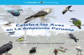 Celebra las Aves en La Amazonía Peruana · Celebra las Aves en La Amazonía Peruana procura co-crear proyectos de ciencia participativa ... Deseamos mejorar calidad de vida, y crear
