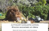 2n Informe sobre el Canvi Climàtic a Catalunya Part 2 ...canvi-climatic.espais.iec.cat/files/2013/07/07_Riscos_SICC.pdf · Les condicions hidrometeorològiques també poden ser un