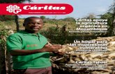 ENERO-FEBRERO 2017 / AÑO €/Año N.º 568 · ENERO-FEBRERO 2017 / AÑO LXV / 32 €/Año N.º 568 Cáritas apoya la agricultura orgánica en Mozambique Desarrollo y acción humanitaria/21